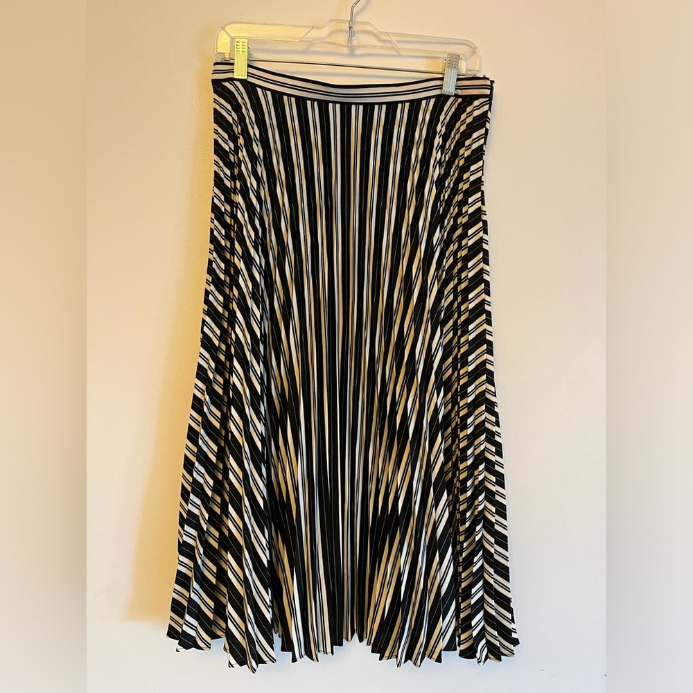 Striped Black and White Skirt